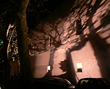 建物の壁面に映し出す木々の影は幻想的