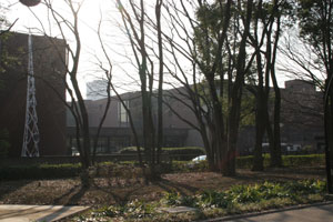 東京藝術大学展示風景