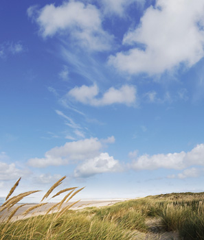 空と海、砂丘が広がる風光明媚なスカーゲン近郊の自然景観