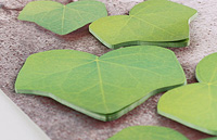 APPREE / Leaf-it ivy