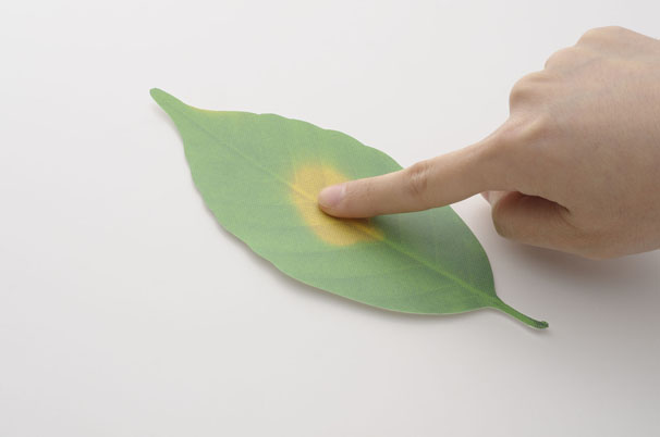 Leaf Thermometer