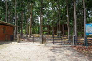 自然保護地域入口。樹木の中に調和するNishorgo Oirabot Nature Interpretation Centre