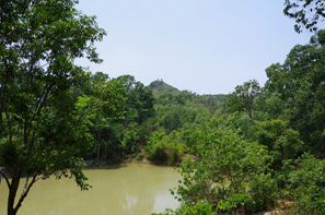 山や池が広がる広大な自然保護地域には密林者も多い