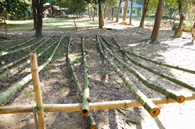 METI Handmade School、竹の内部に防虫対策を施し、乾かす