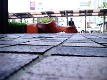写真224