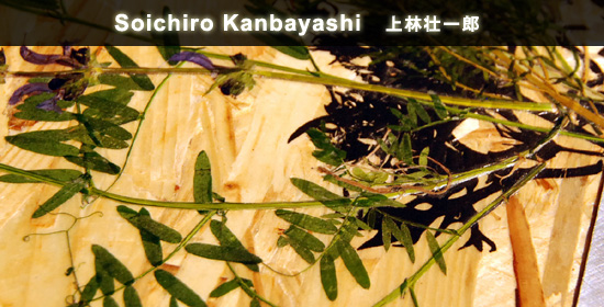 上林壮一郎ミラノサローネレポート