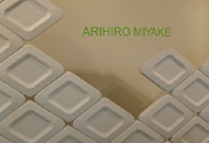 Arihiro Miyake