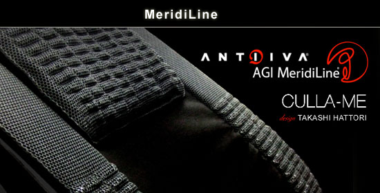 MeridiLine　レポート