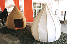 photo11