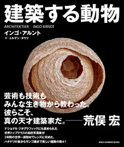 建築する動物