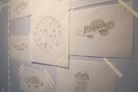 鹿児島氏が描いた図案の原画。これらを元に皿やファブリックに落とし込んだ