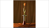 Flower Vase
