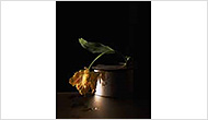 Flower Vase