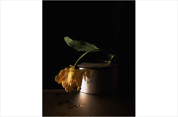 Flower Vase