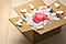 snow cushion 2