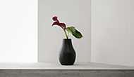 SHIFTING VASE