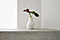SHIFTING VASE 2