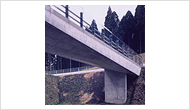 Bridge Design / 踊場誇道橋