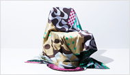 CHAMELEON MURCH COVER