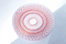 bloom 7