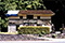 A house moving project　移築プロジェクト 4