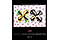 Luxotticaのグラフィック 3