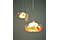 Jellyfish 2