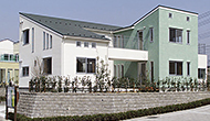 Gallery house