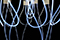 Jellyfish 2
