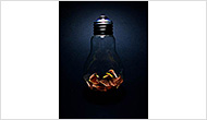 flashbulb
