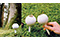 earth pick (celamic) 1