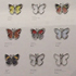こちらは「アレンジプレゼンテーション」の展示です。蝶のカタチの「D-CLIPS」。標本のようにアレンジされています。　（2011.7.6撮影）