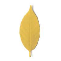 Leaf Thermometer