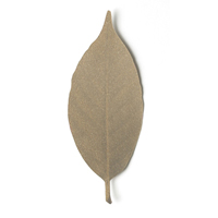 Leaf Thermometer