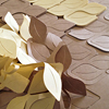 cushionsan leaves