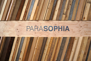 「別の、逆の、対抗的な」という意味のparaに、叡智や学問体系を意味のsophiaをつなぎあわせた造語