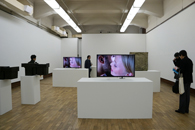 「キングコング・コンプレックス」展示風景