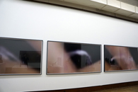 「キングコング・コンプレックス」展示風景 (3)