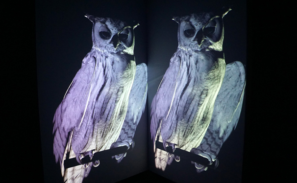 思考と創造プラットフォームの形成を模索する、京都初の現代芸術の国際展「PARASOPHIA: 京都現代芸術祭2015」
