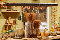 イメージ写真（昨年の様子） (3)