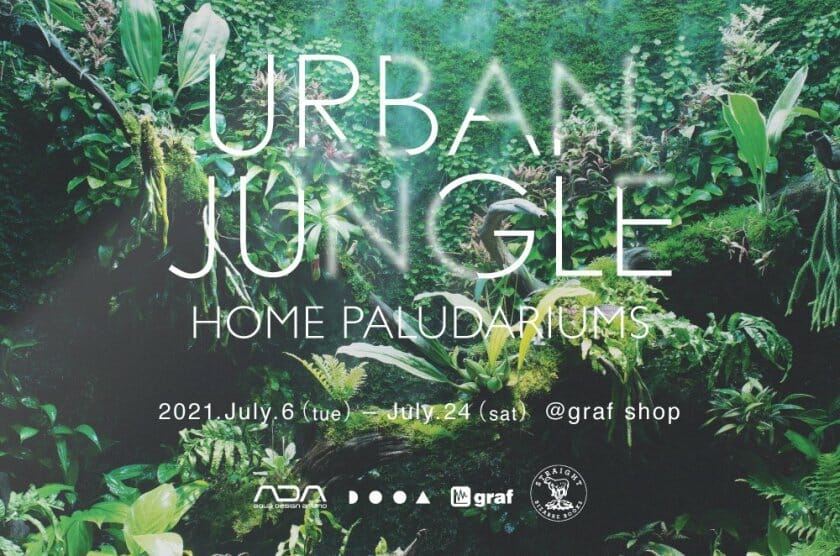 パルダリウムと家具のある風景「URBAN JUNGLE ー HOME PALUDARIUMS」