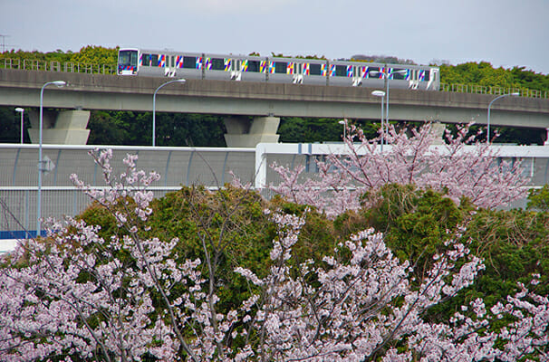 シーサイドライン2000型　車両グラフィック (3)