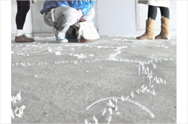 “fluctuation”展 (3)
