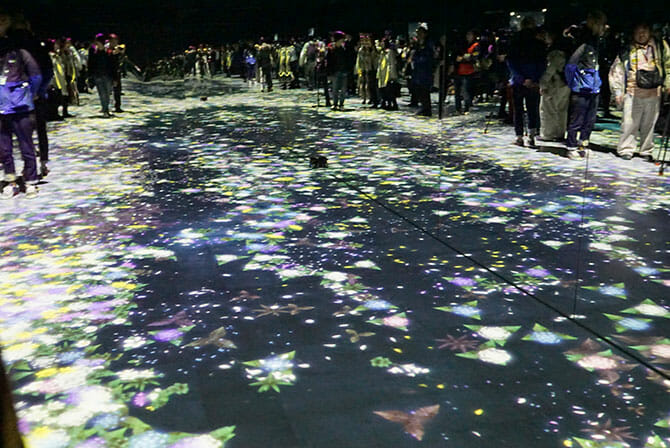 花と人、コントロールできないけれども共に生きる、そして永久に ── Tokyo