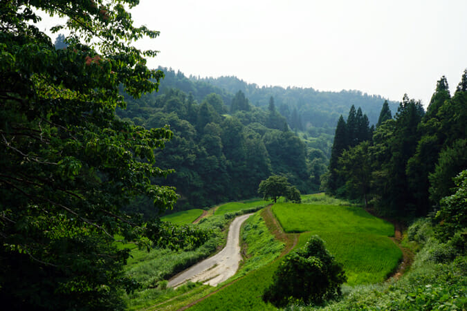 山々に開かれた田んぼの風景