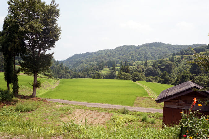 「名ヶ山写真館」からの眺め。美しい棚田が広がる