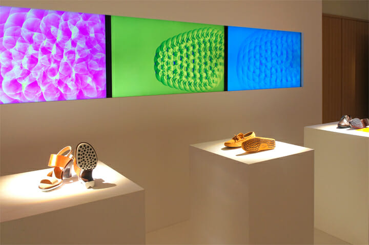 Scalar Field of Shoes01