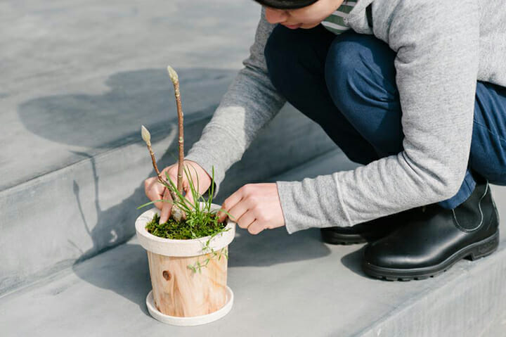 TIMBER POT (2)