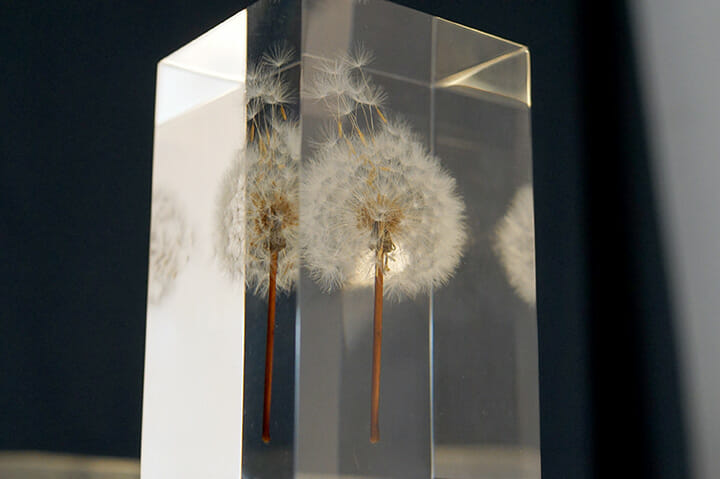 SOMEWHERE TOKYOにて、