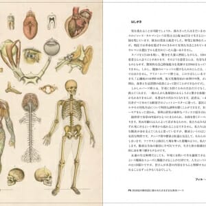 アリス博士の人体メディカルツアー (1)